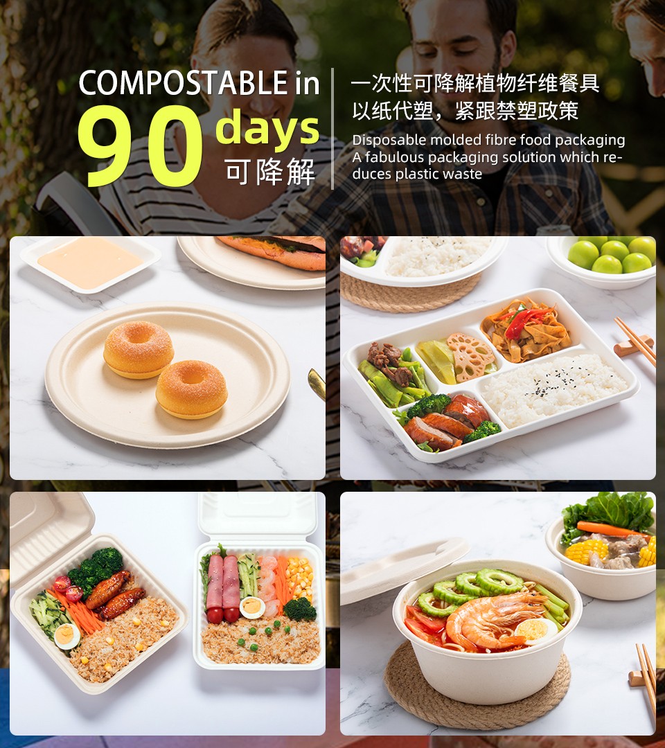 可降解餐具,食品包裝,果蔬盒,一次性碗,一次性餐具,可降解,紙餐具,一次性,環保,生態植物纖維模塑,可降解刀叉勺,刀叉勺,環保紙碗,一次性紙碗,蛋糕盤,低碳,綠洲科技,韶能綠洲,韶能綠洲科技,韶能,韶能集團,廣東韶能,廣東韶能集團綠洲科技發展有限公司